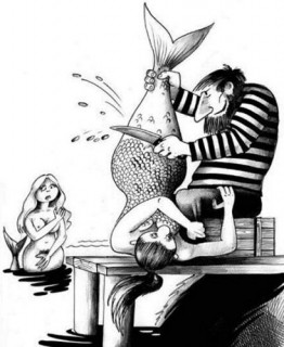 max_g360_c12_r3x4_pd20-1