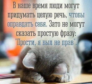 IMG-4d64eec975be21a167cb7ff04f8dcec3-V