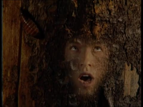 Танцы_Минус_-_Дерево360P