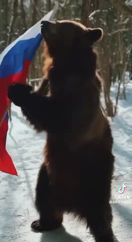 Мишка за Россию