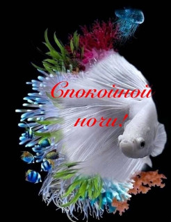 IMG-31a6520bbc6f8378477203cd00339855-V