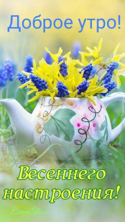 IMG-6f4bf5428885b78834f553fb62d35de0-V