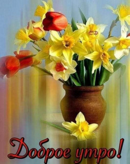 IMG-d6cb61cfc3c417a7d0a13e586d627ec2-V