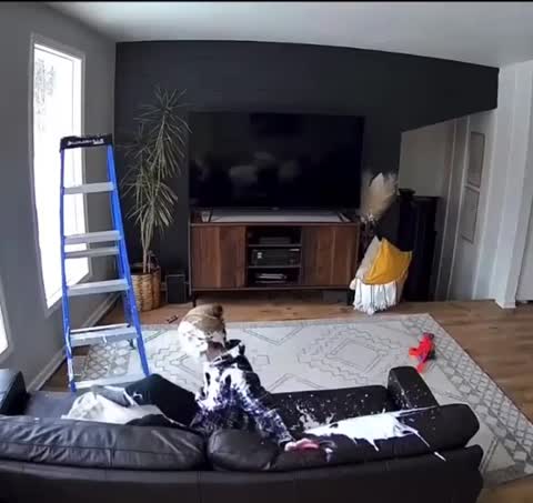 VID_20230404_174602_699