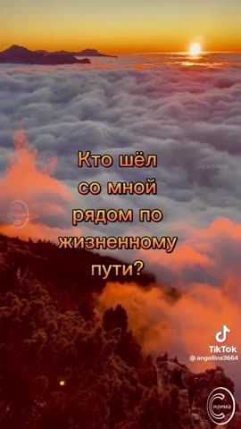 a8e8ae8859d0c8aa30988848226ba7b2