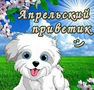 t0PvUN74Ar8