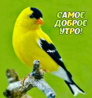 IMG-0072ae62eaf8710e2e52ce581ce3eb87-V