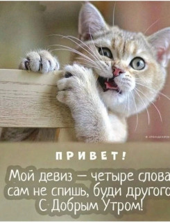 ATYnWJCeF7E