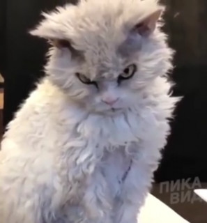 IMG-4b67b34970de2dbecf3aed2360ddc0e8-V