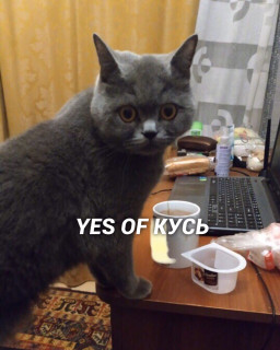 IMG-2fb2fa386b2b4a8f19555fb9956be7b1-V