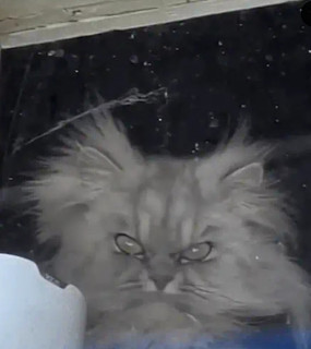 IMG-9af1c621e772ce43a6059c5b71532e1b-V