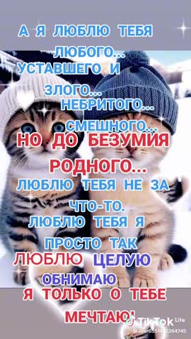 87001fda43a7c7577e7566c8f7140d44