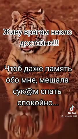 d79c41b5333050a191397e31628ef973