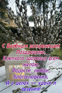 IMG-b35d713223b941cf9dd929089696b876-V