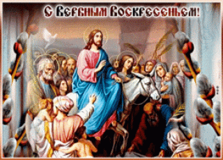 GIF-e75cf9f38207258a01d58fea2da4492f