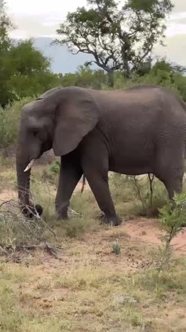 VID_20230208_141735_478