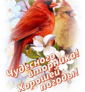 IMG-1364726bde80a1257f0b8545f150e574-V