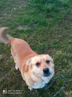 IMG-bdd704c3e01887e58f1edf467f21ae0c-V