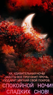 IMG-6f32b3465e13e74378f6adc1bd75e973-V