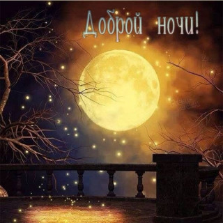 IMG-53cfe870d6dbcd338e662b8ca0c2b0ba-V