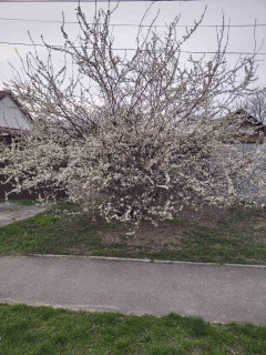 IMG-02b8a994e6bcdd440fc44843eb0fc6c6-V