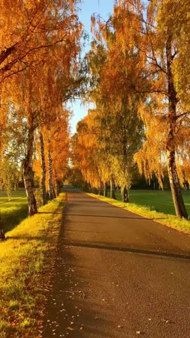 Золотая_осень