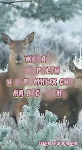 С добрым утром