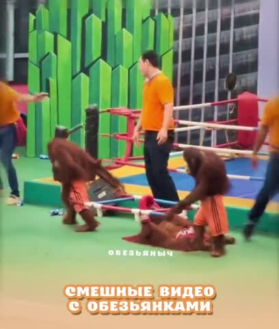 VID_20221101_155617_897