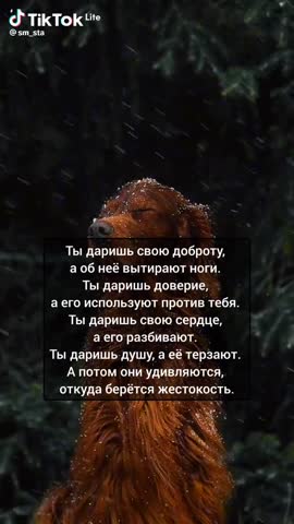 ef85985c0b878bfbbdd74f1718099403