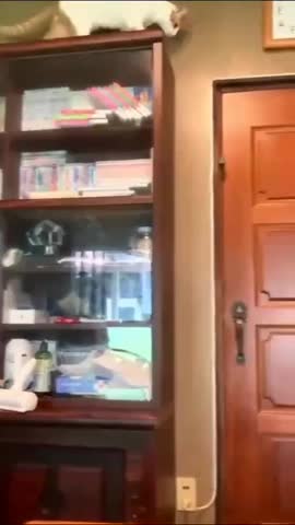 VID_20230420_090642_089