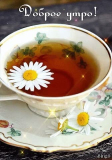 IMG-cb66007ffaaeb5ca2cc6622e9c6d48eb-V