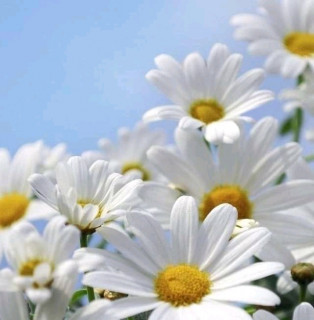 FB_IMG_16822702182765805