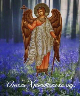 IMG-719c82058d8e37a55a594c7384260254-V