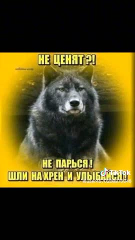 ebda495ff58fd2ad775a32eafcf323ac