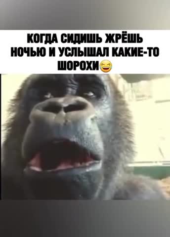 когда_ночью_