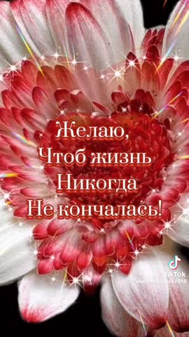 4ca50363b1c04b749bd1e8fce5f8971a