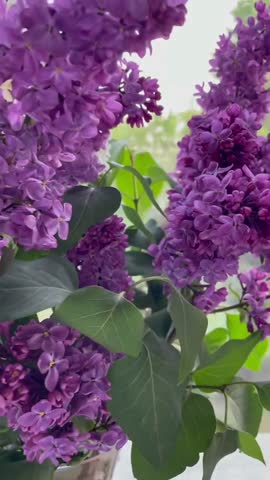 VID_20230501_125145_983