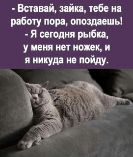 FB_IMG_16831346072952255