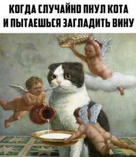 G_otkBZo5JQ