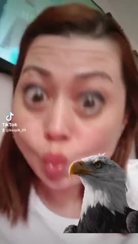 взгляд_орла