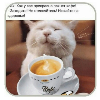 GHJGsgpykroGwJbmObmsWqoStH9oHhMMTmdSxTkgMBPPP1iAeKq-aEQVQfb2o2j6DmV0VKbFwLY5Vy3irVnRcWa2