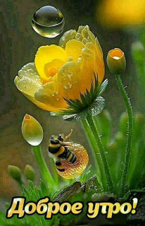 IMG-ac73c8964bab20d19f88ca9d929d1ad0-V