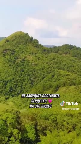 8e445fa2e24ac6b2d297c0a183c58d49