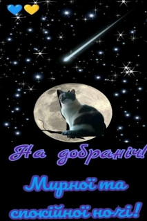 FB_IMG_16834948390433602