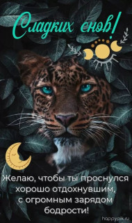 IMG-1e4e5984f825d1a4dca72f6afd2e5c39-V