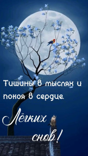 IMG-9719dd045a0bd0d0c78cd3789e3bdd92-V