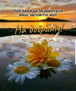 FB_IMG_16836650358824746