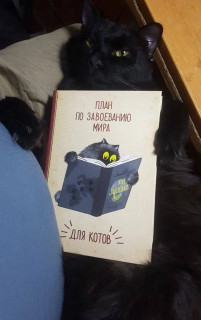 vMrvmNnBKOg