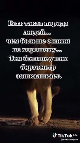 3051dd6bbb250c0029838a8b17b99af4