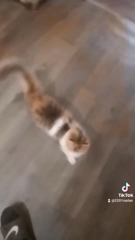 c9ad0727d4767e8b63150af656c97ba2